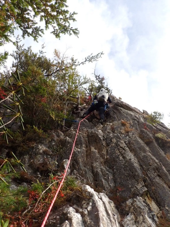 アルパインパートナー募集サイトのお知らせ