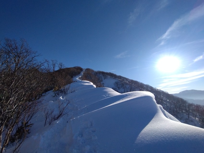 3/28〜都内発/粟ヶ岳と新潟温泉&ラーメン