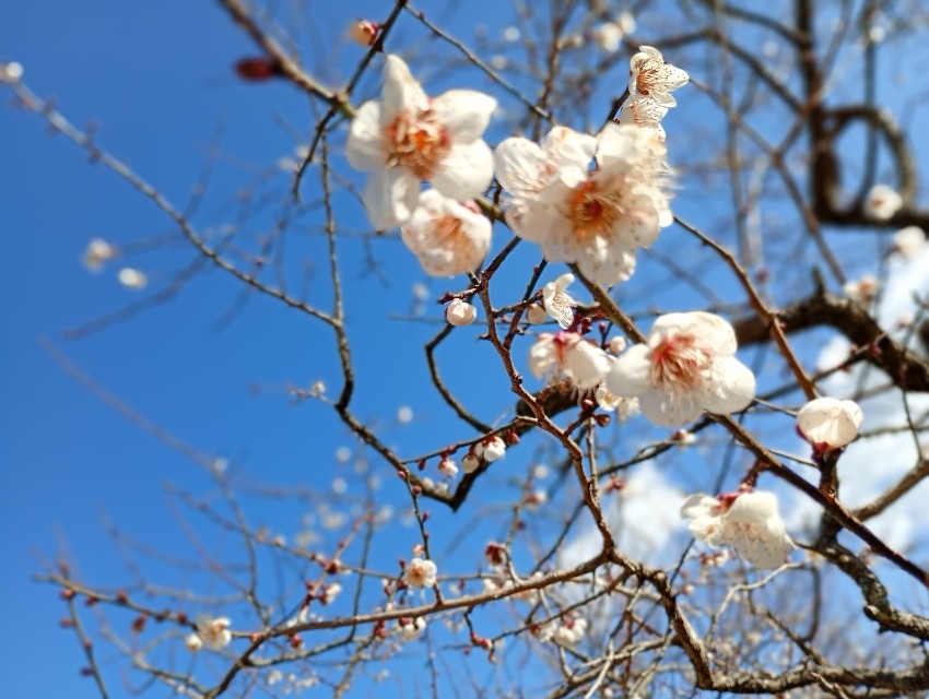 山友募集中🤗（できたら末永くお付き合いしてください🎵）
