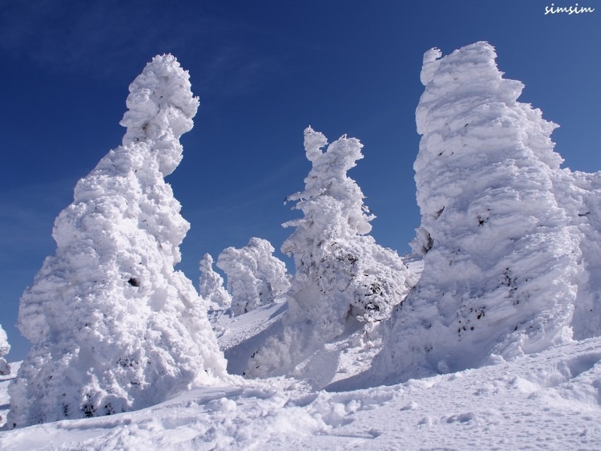 2月22日（日）仙人沢（氷瀑）刈田岳、熊野岳（スノモン）