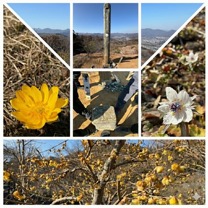 2/15(日)赤ぼっこと吉野梅郷