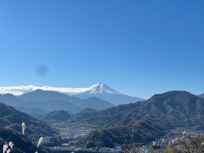 平日に秀麗富嶽十二景一緒に登れる人いませんか？