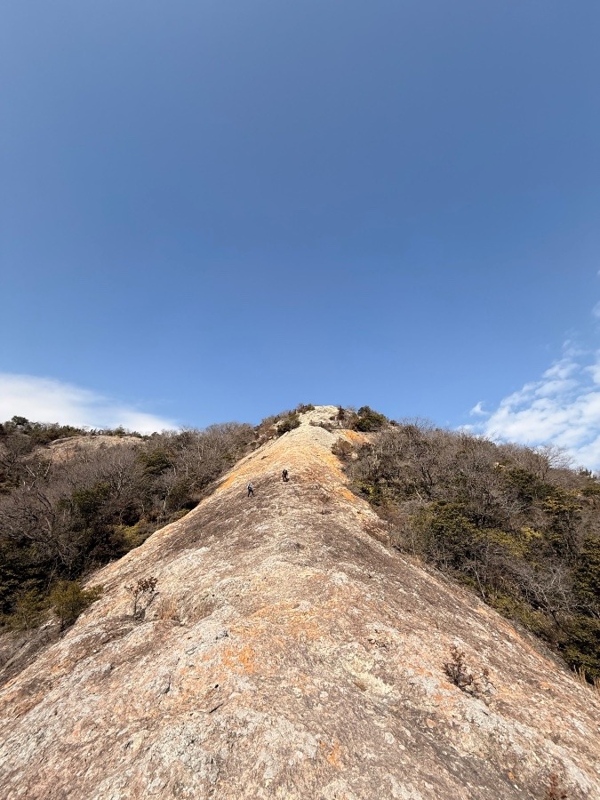 紅山へハイキング