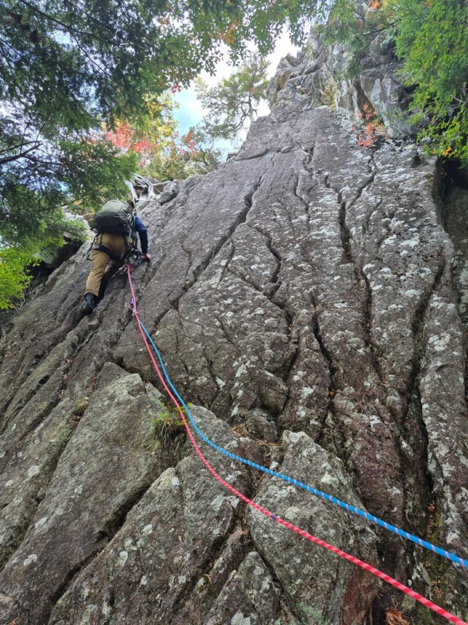 アルパインパートナー募集サイトのお知らせ