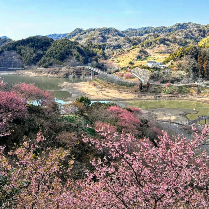 【急募】2/21(土)関東百名山 高宕山&頼朝桜のお花見【新宿発】