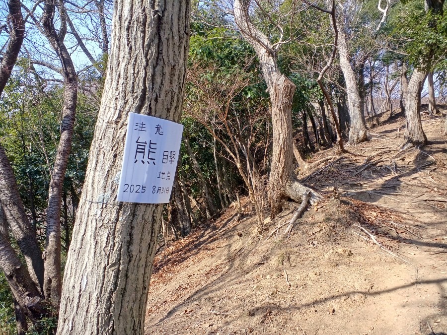 聖峰で　熊目撃　注意！