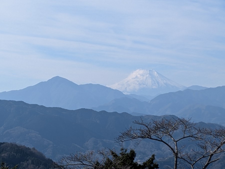 高尾山展望