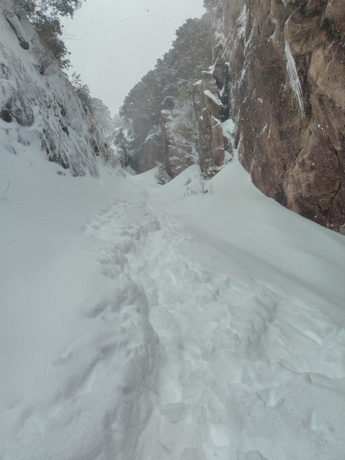 2026.1 御在所岳   藤内沢