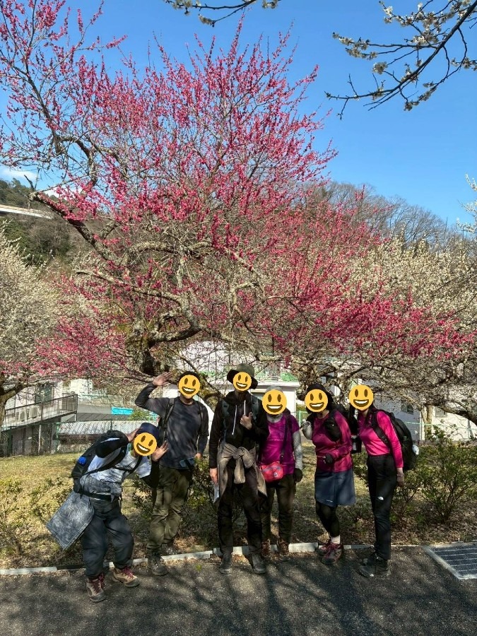 3/15土曜 八王子城趾&高尾梅まつり