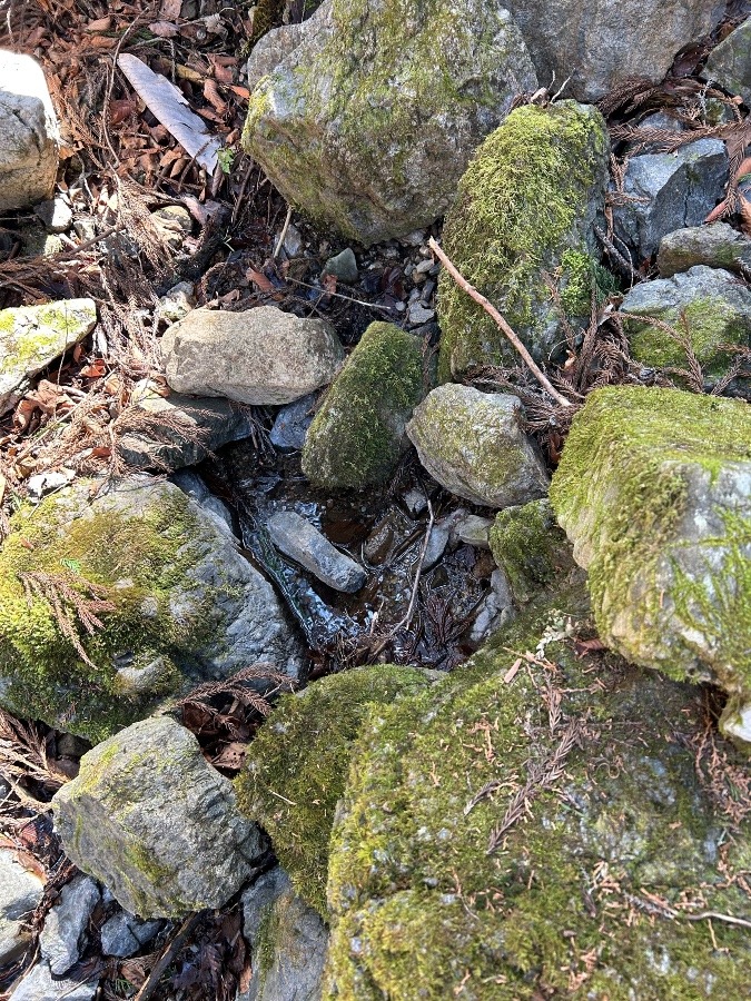 御岳山(東京)3/21