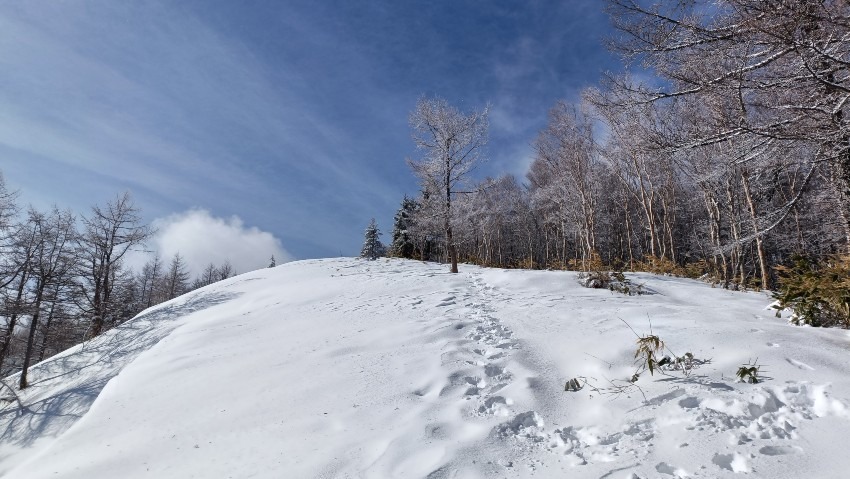 【関西発】北関東遠征3/20-22