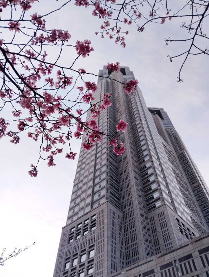 4/28登山仲間募集　奥多摩【大岳山】登山