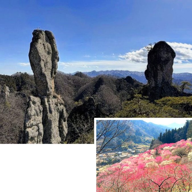 3/14(土)西上州のモノリス？じぃとばぁ＆あぶだ福寿草の里 同行者募集【所沢･東所沢発】