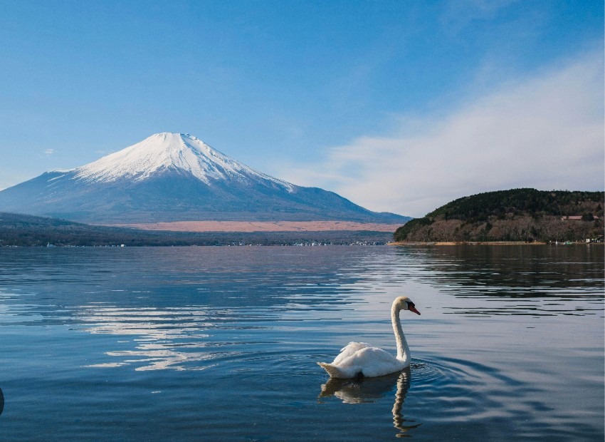 4月25日（土）〜26日（日）登山 and キャンプ（山中湖）