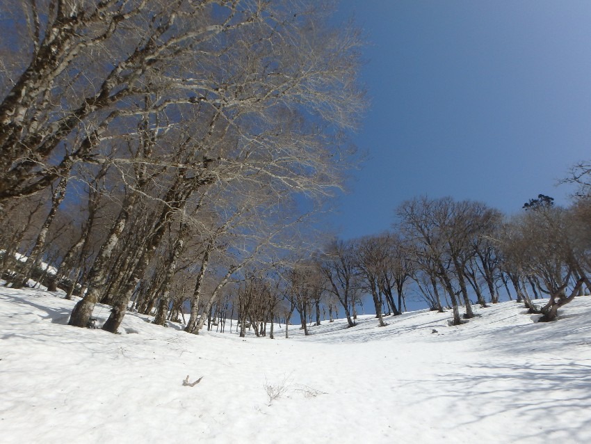 残雪期春山登りませんか？