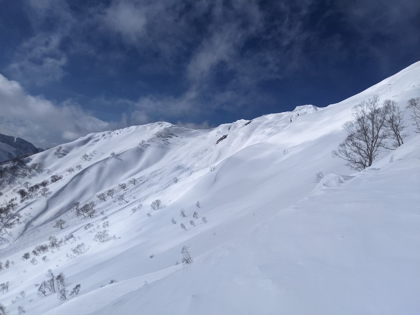 【平日】山仲間募集(女性限定)