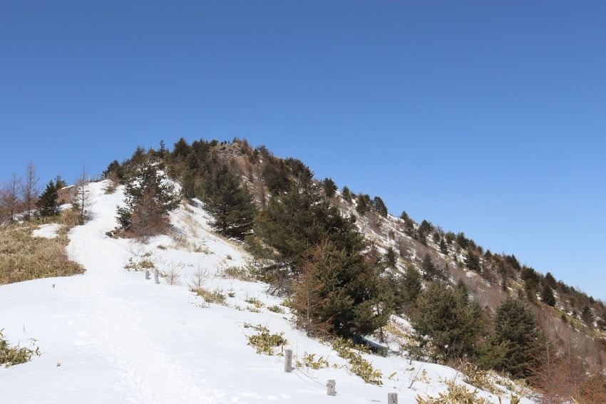 ゆっくりハイク仲間募集！