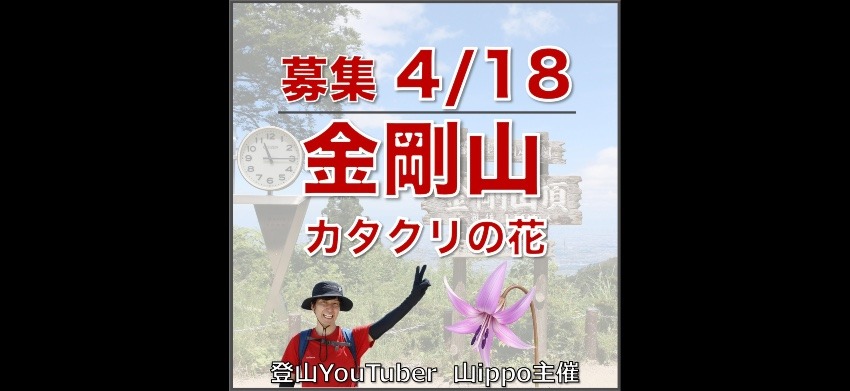 【大阪】4/18(土)金剛山🪻カタクリの花
