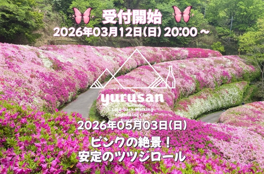 【20代〜40代の登山仲間募集】ピンクの絶景！安定のツツジロール