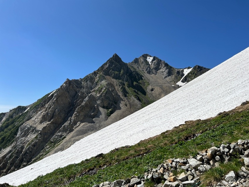 山友募集です！