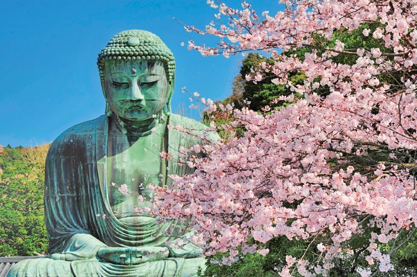 3/28 桜満開 鎌倉ハイキング