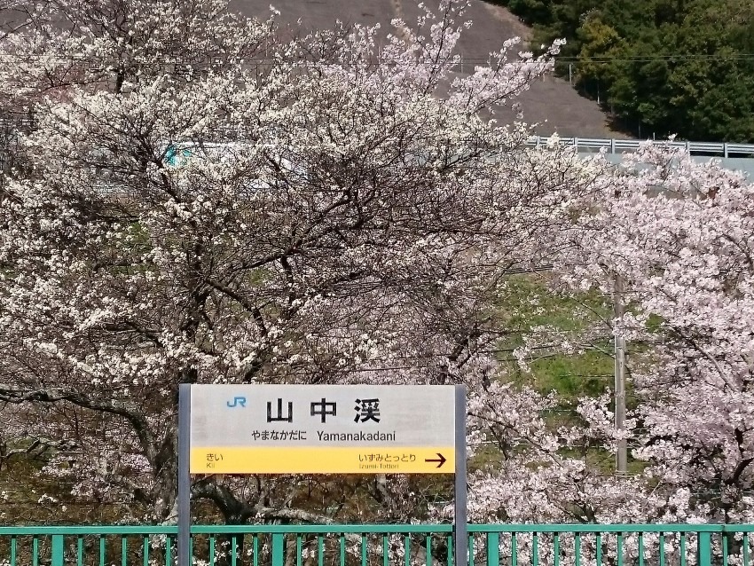 4/05(日)雲山峰＆4/19(日)横山岳、50～65歳代の登山仲間募集