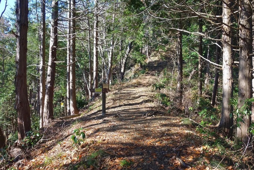 3/14(土) 北高尾山稜 登山　募集