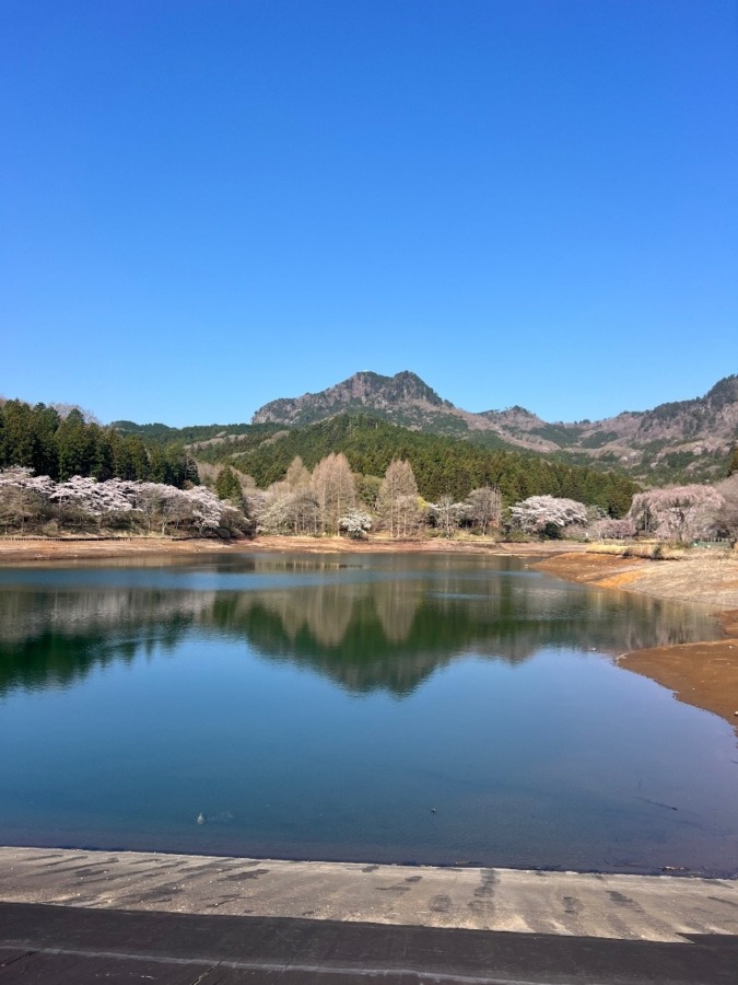 4/3(金) 古賀志山