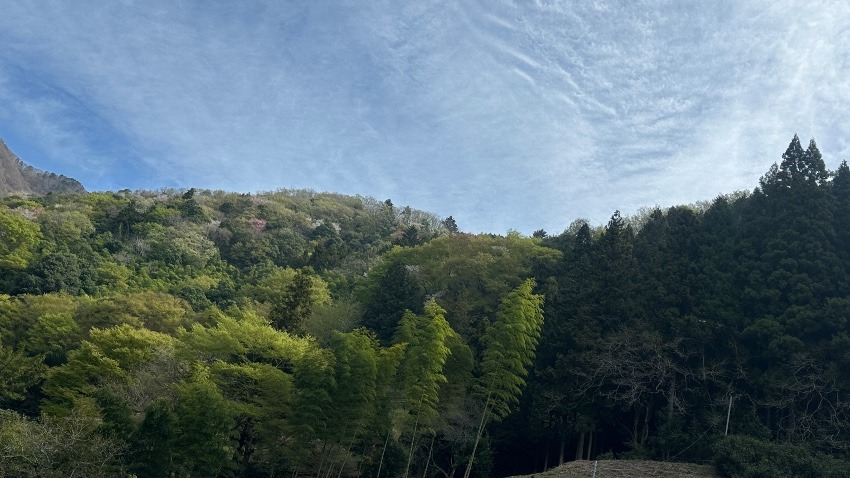 5月4日（祝） 六甲山登りませんか？