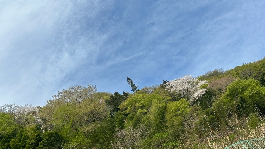 4/19（日）日光　鳴虫山