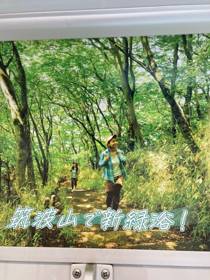 ☘️5月4日筑波山ハイキングメンバー募集