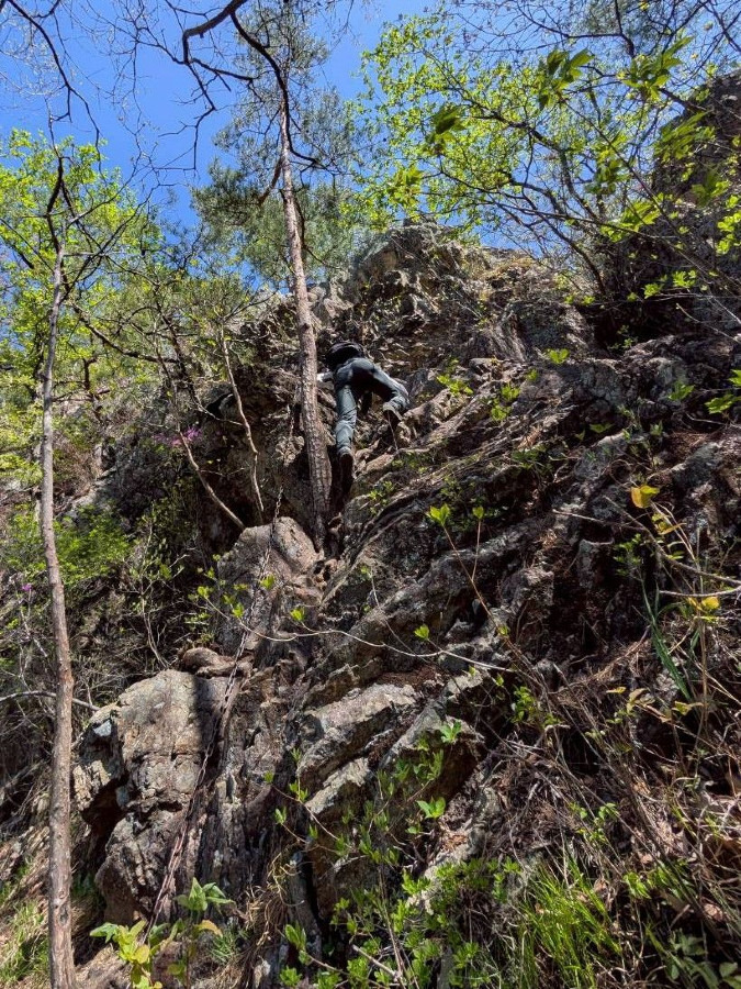 仙人ヶ岳 犬帰り