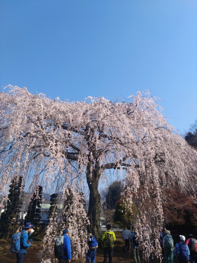 7/11 (土)黒斑山 　募集