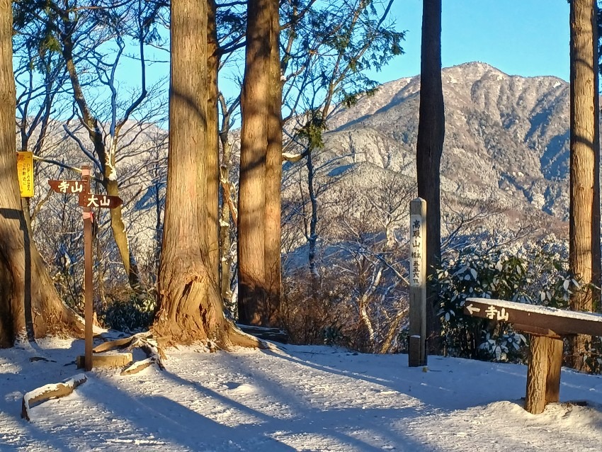 神奈川60代　ゆる山歩き(弘法山・高取山界隈中心)