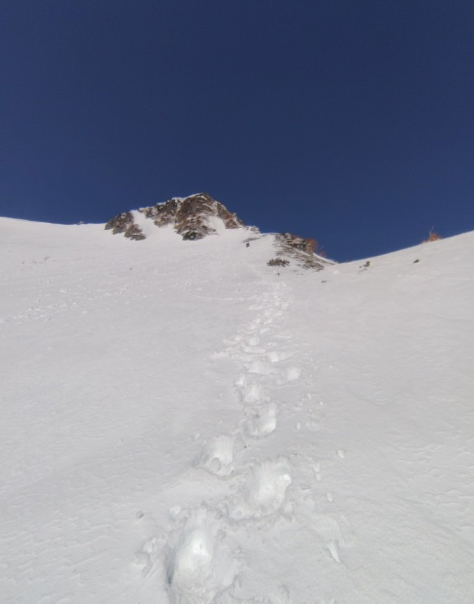 サギダル尾根　2026.3