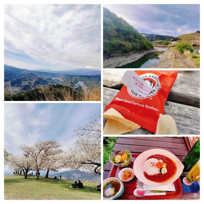 4/12　ふらっと大野山