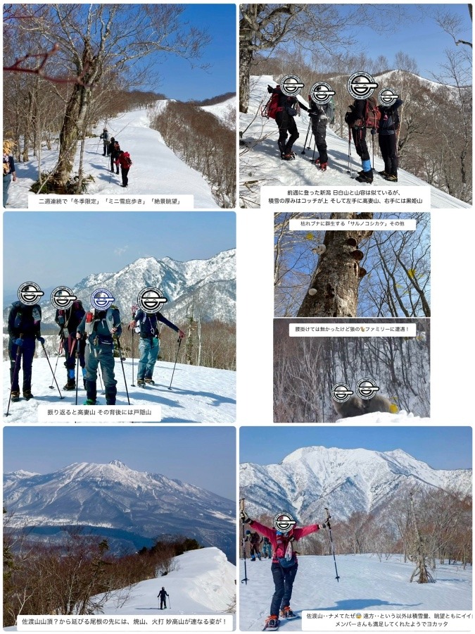 サディスティック　サド(佐渡)山　