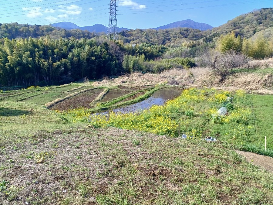 名古木の棚田(大山南山稜)