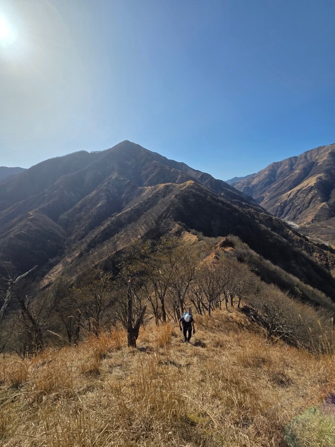 中倉山　横場山バリ
