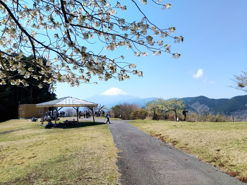 5月16日【千葉　鹿野山登山企画】募集