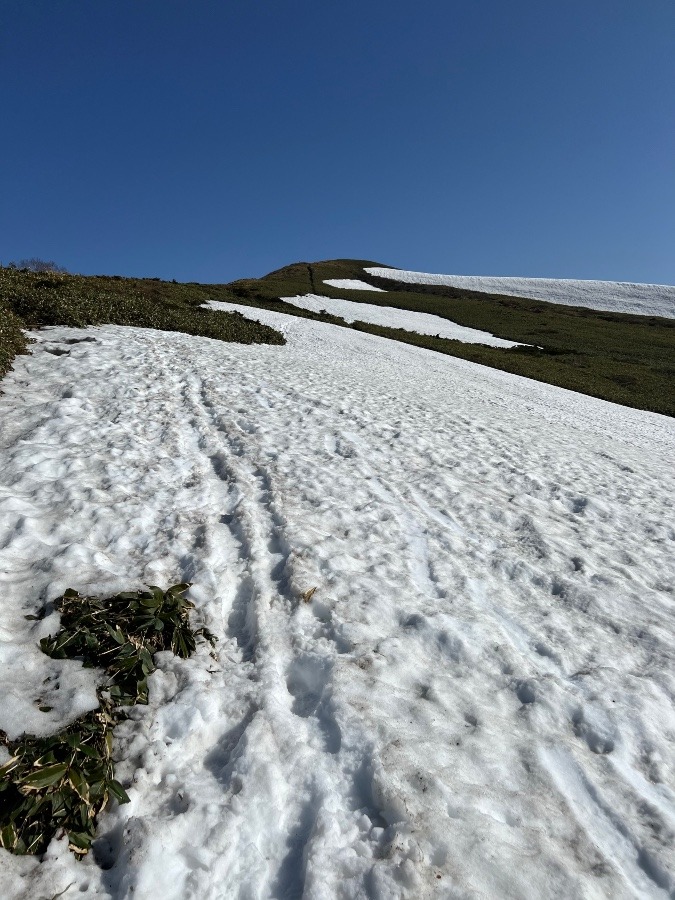 最初？最後？の雪！！
