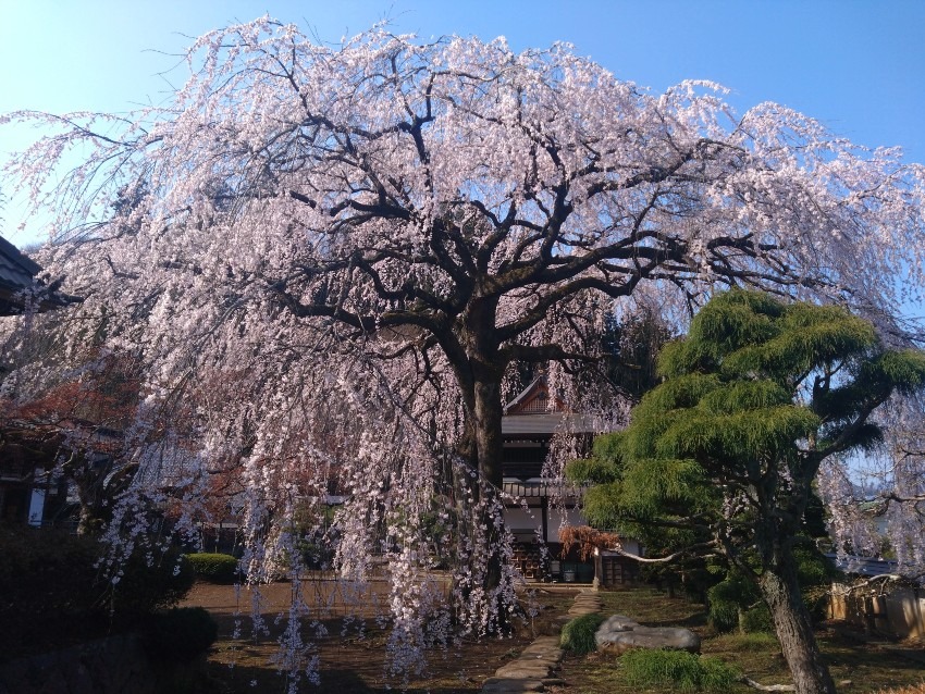 7/11 (土)長野県　黒斑山 　募集