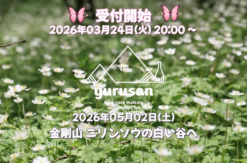 【登山仲間募集】5/2(土) 金剛山 ニリンソウの白い谷へ