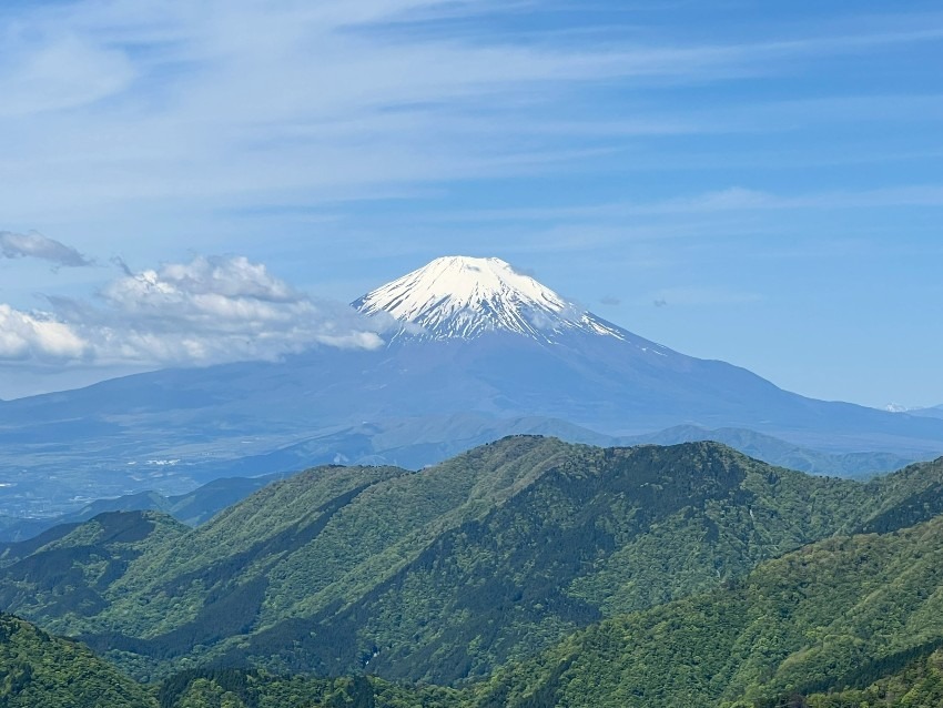 山仲間募集