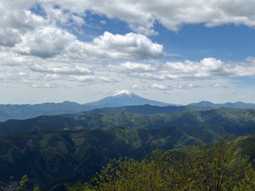 山仲間募集