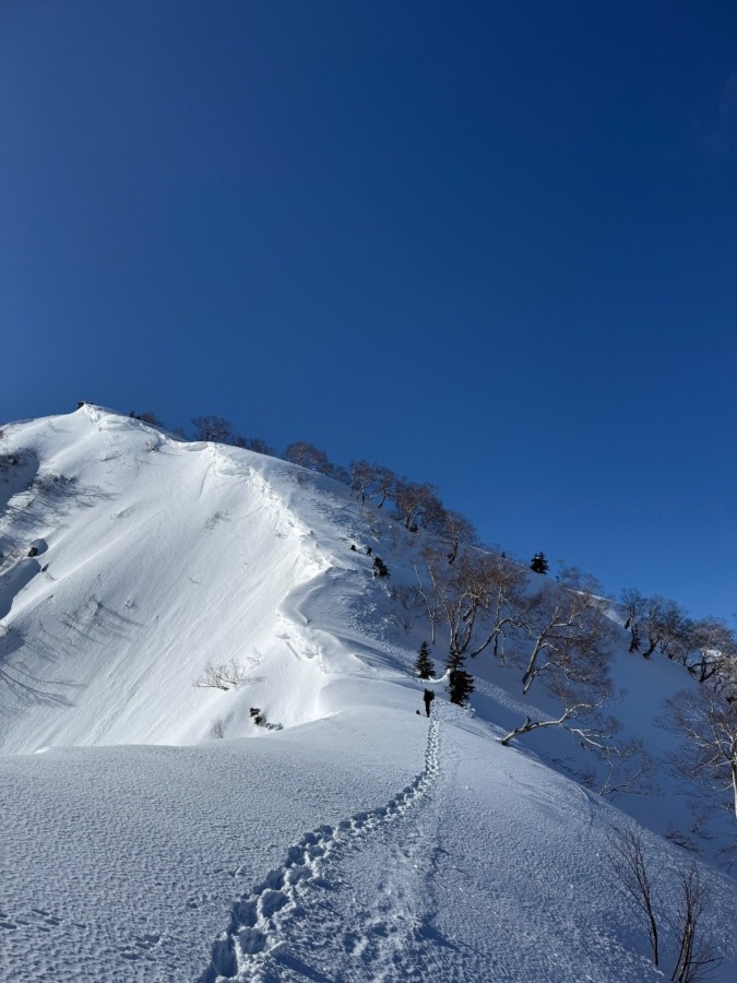 山友さん募集