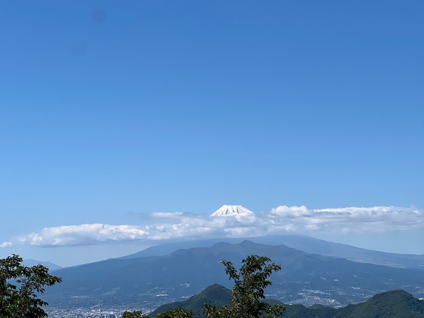 急ですが…