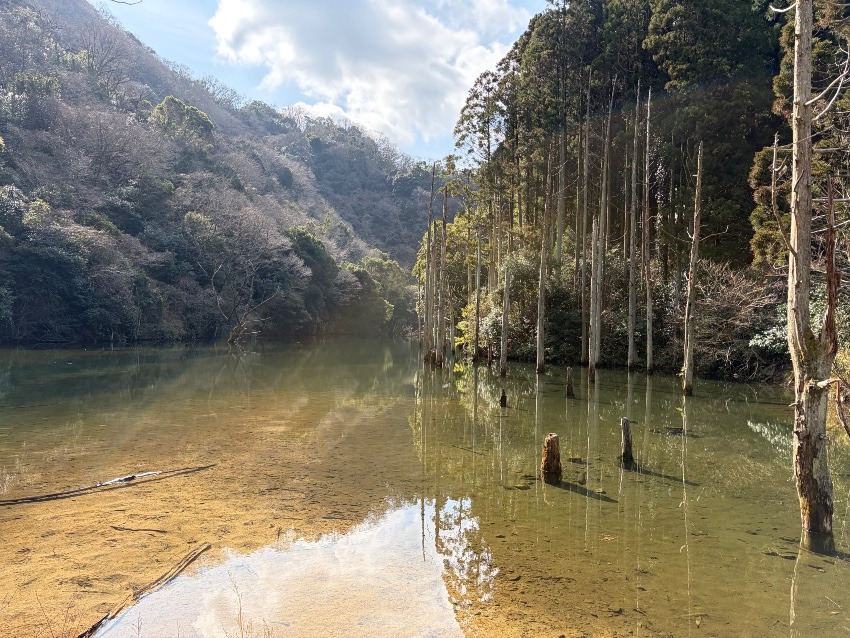 山仲間募集