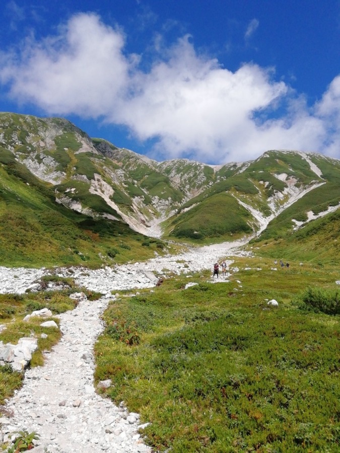 🔰６月下旬、銀杏峰でオオヤマレンゲが見てみたいです。山友さんも募集です