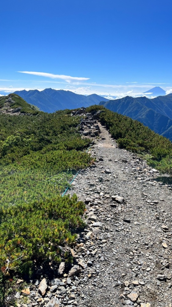 山仲間募集